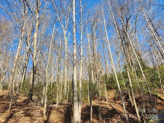 Lot 158 Chilly Creek Ln, Lake Lure, NC 28746