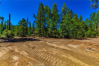 0 River St Unit FR25117747, Wawona, CA 95389