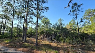 1605 Nectar Ave, Sebring, FL 33872