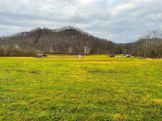 0 Oka Rd, Chloe, WV 25235