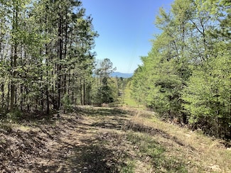0 Chaparral Ln Unit 23274350, Mena, AR 71953