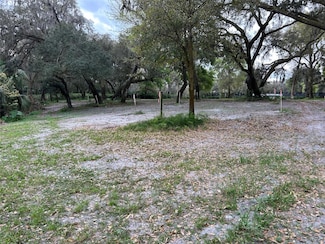 0 Chameleon Rd, Pierson, FL 32180