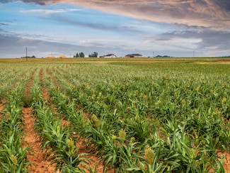 5982 Tiger, Ropesville, TX 79358