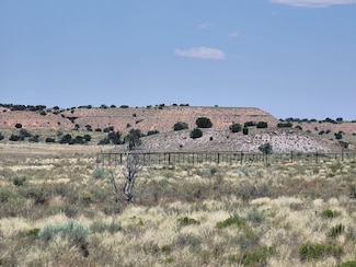0 U S Highway 191, Chambers, AZ 86502