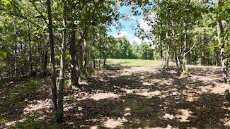 113 Chestnut Dr, Linden, TN 37096