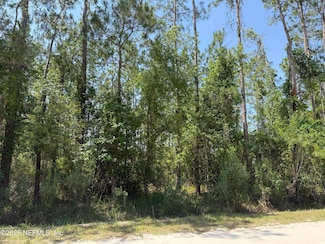 109 White Pine Ln, Georgetown, FL 32139