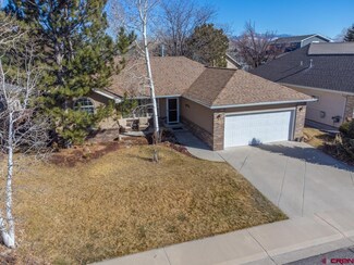 3821 Lone Tree Ln, Montrose, CO 81403