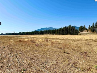 NNA N Stonemason Way, Rathdrum, ID 83858