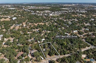 1007 Red Bud Dr, Cedar Park, TX 78613