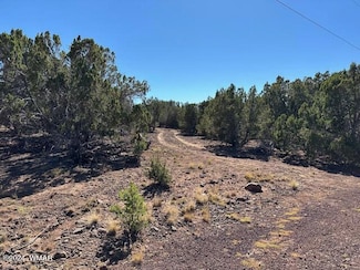 14 County Rd Unit 8054, Concho, AZ 85924