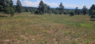 567 Sam Houston Ave, Pagosa Springs, CO 81147