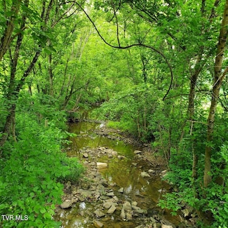 00 Lone Star Rd, Kingsport, TN 37660