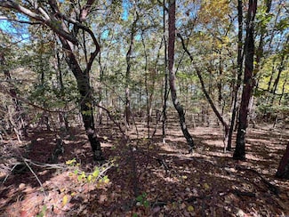 0 Angel Way Unit 25043278, Clinton, AR 72031