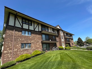 11006 S Theresa Cir Unit 2, Palos Hills, IL 60465