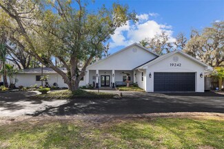 19242 Blount Rd, Lutz, FL 33558