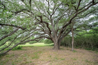 Farm To Market Road 713, Rosanky, TX 78953