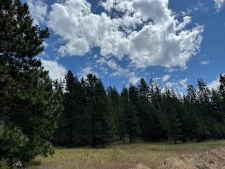 588x Weaver Rd Unit Lot 4  f, Deer Park, WA 99006