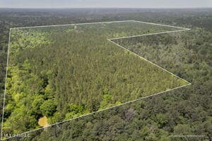 128 ac Armstrong Rd, Brooklyn, MS 39425