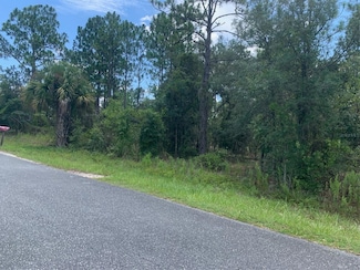 0 NW Amberjack Ave Unit MFROM683655, Dunnellon, FL 34431