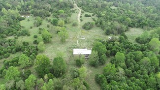 533 Lizard Dr, Gainesville, MO 65655