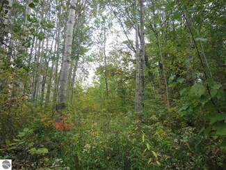 N/A E Co Line Rd, Hale, MI 48739