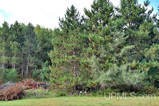 TBD Sundance Dr Unit 4, Norway, MI 49870