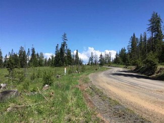 TBD Bandmill C, Orofino, ID 83544