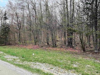00 N Hill Rd, Andover, VT 05143