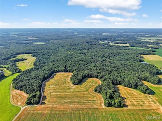 116.18 +/- Acres Highway Dd, Bellflower, MO 63333