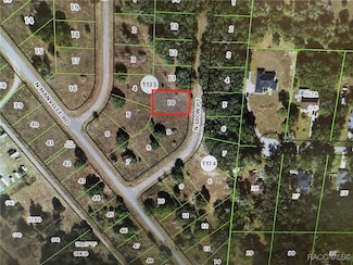 7472 N Iron Point, Dunnellon, FL 34434