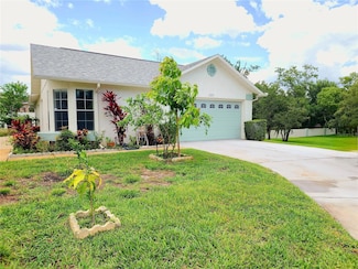 11653 Orleans Ln, Port Richey, FL 34668