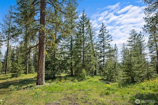 16 Wanawish Loop, Cle Elum, WA 98922