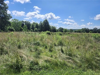 0 Walnut St, Newtown, MO 64667