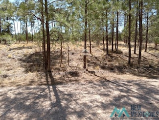 Lot 2 Balkans Dr, Timberon, NM 88350