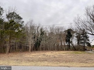 12307 Sinepuxent Rd, Berlin, MD 21811