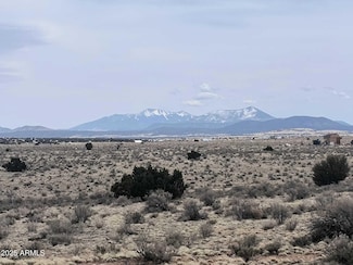 185 W Newcastle Dr Unit 411, Grand Canyon Junction, AZ 86046