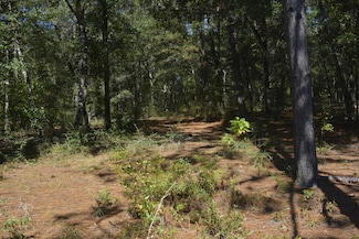 2928 Aplin Rd, Crestview, FL 32539