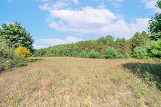 Unit 2 University Club Dr, Big Rapids Township, MI 49307