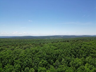 Tract 46 Trail Ridge Rd, Albion, OK 74571