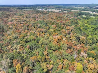 Off Hwy Dd Unit Lot WP001, Farmington, MO 63640