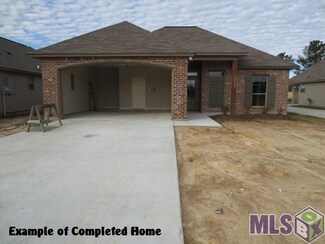 25433 Black Lake Ave, Livingston, LA 70754