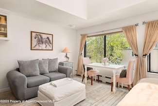 725 E Main St Unit 305, Aspen, CO 81611