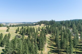 XXX N Madison Rd, Chattaroy, WA 99003