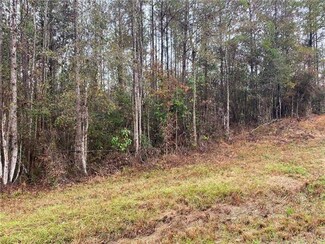 0 Hwy 436 and Roger Rd Unit 2392741, Franklinton, LA 70438