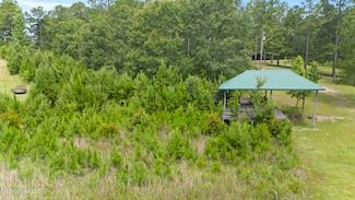 0 Burnt Pine Rd Unit 4117633, Leakesville, MS 39451