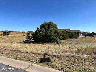 960 S Ridgecreek Ln, Show Low, AZ 85901