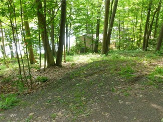 5071 Birch Rd, Dundee, NY 14837