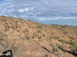 1.238, Phoenix, AZ 85085