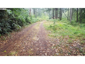 32218 NE 86th St, Camas, WA 98607