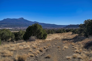 15311 Rancho Verde Rd, Trinidad, CO 81082